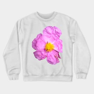 Himalayan blue poppy flower Crewneck Sweatshirt